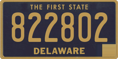 DE license plate 822802