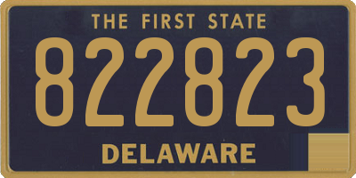 DE license plate 822823