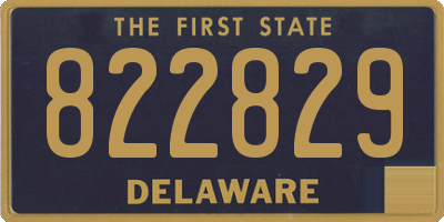 DE license plate 822829