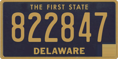 DE license plate 822847