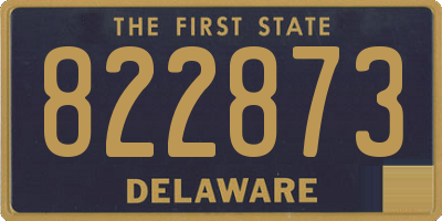 DE license plate 822873