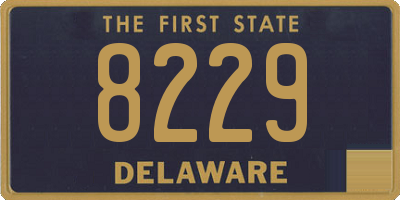 DE license plate 8229