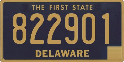 DE license plate 822901