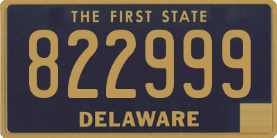DE license plate 822999