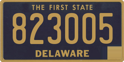 DE license plate 823005