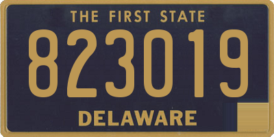 DE license plate 823019