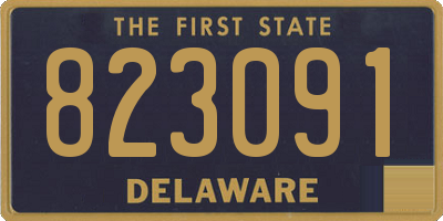 DE license plate 823091