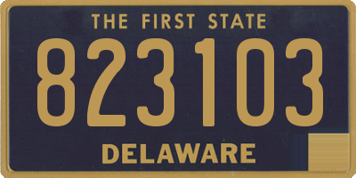 DE license plate 823103