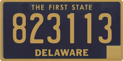 DE license plate 823113