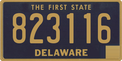 DE license plate 823116