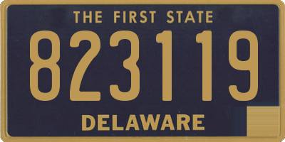 DE license plate 823119