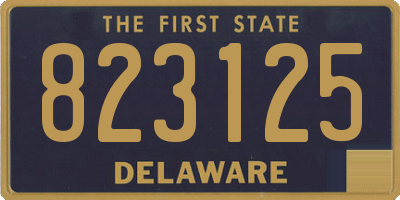 DE license plate 823125