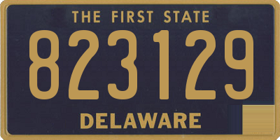 DE license plate 823129