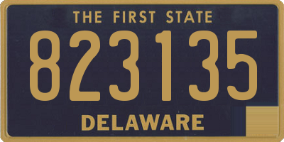 DE license plate 823135