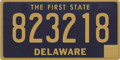 DE license plate 823218