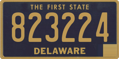 DE license plate 823224