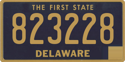 DE license plate 823228