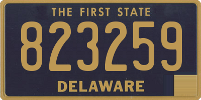 DE license plate 823259