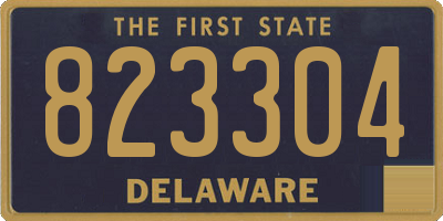 DE license plate 823304