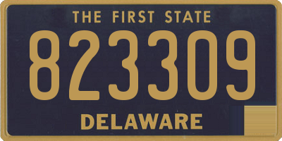 DE license plate 823309