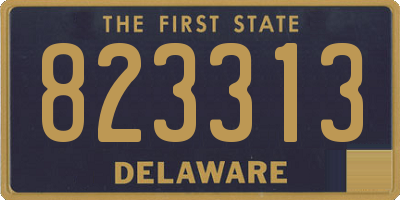 DE license plate 823313