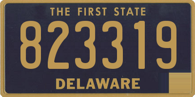 DE license plate 823319