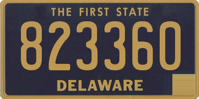DE license plate 823360
