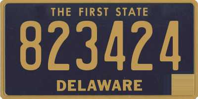 DE license plate 823424