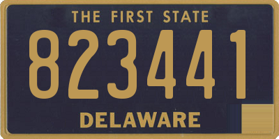 DE license plate 823441