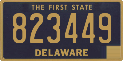 DE license plate 823449