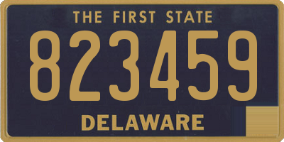 DE license plate 823459