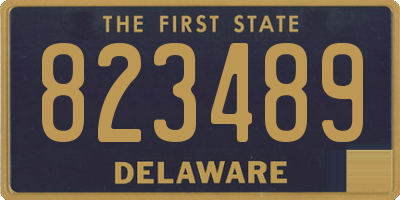 DE license plate 823489