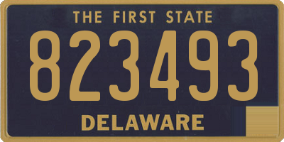 DE license plate 823493