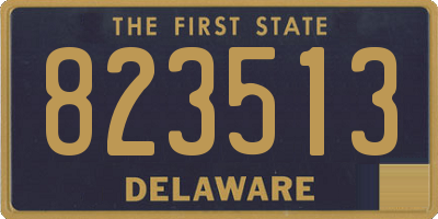 DE license plate 823513