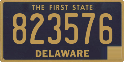 DE license plate 823576