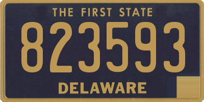 DE license plate 823593