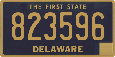 DE license plate 823596