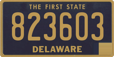 DE license plate 823603