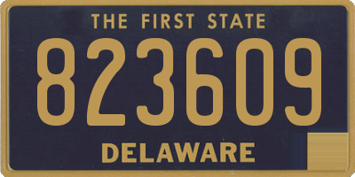 DE license plate 823609