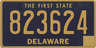 DE license plate 823624