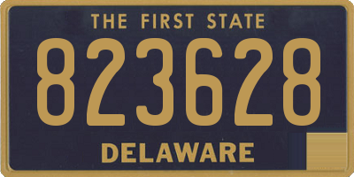DE license plate 823628