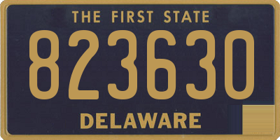 DE license plate 823630