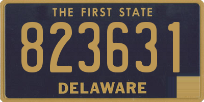 DE license plate 823631