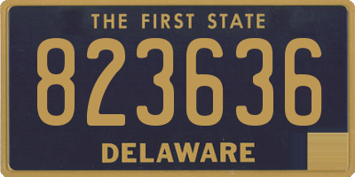 DE license plate 823636