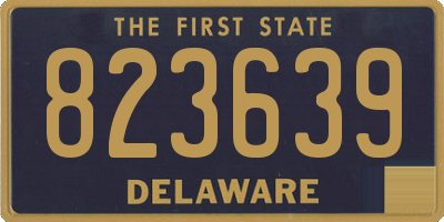 DE license plate 823639