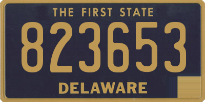 DE license plate 823653