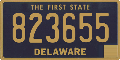 DE license plate 823655