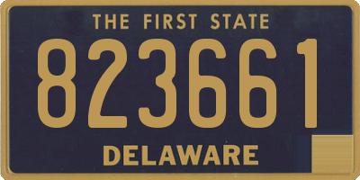 DE license plate 823661