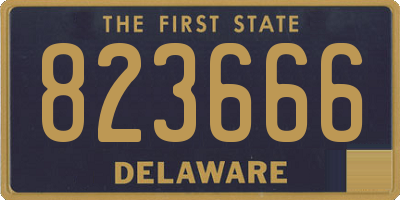 DE license plate 823666