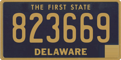 DE license plate 823669